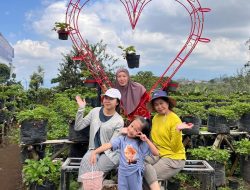 Bon Kopi Wisata Petik Stoberi, Destinasi Wisata Alam Unggulan di Kota Batu
