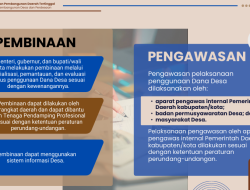 Pelaporan, Pembinaan, dan Pengawasan Dana Desa