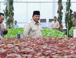 Pastikan Kesiapan Program Gizi Nasional, Presiden Prabowo Tinjau Langsung SPPG Polri Palmerah