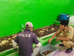 Budidaya Ayam dan Maggot Untuk Manfaatkan Sampah Sisa Makanan, Di TPS3R Dusun Kedung Desa Giripurno