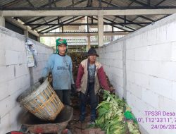 Petugas Pemilah Sampah TPS3R Dusun Krajan Desa Torongrejo, Berharap Sampah Program MBG Diserahkan Kondisi Sudah Dipilah