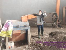 Dorong Pilah Sampah Dari Sumbernya, TPS3R Jalibar Berseri Desa Oro Oro Ombo Bagikan Kompos Gratis