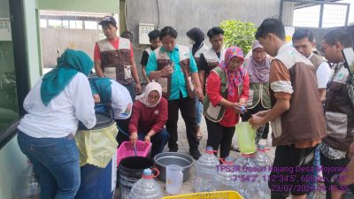 Sudah Merasakan Banyak Manfaat Eco Enzyme Ketua TP PKK Desa Mojorejo, Mengikuti Panen Dan Pembuatan Eco Enzyme Di TPS3R