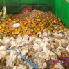 Sampah Buah Kemasan Plastik Dari SPPG Belum Dipilah, Dikeluhkan TPS3R Dusun Segundu Desa Sumbergondo