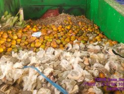 Sampah Buah Kemasan Plastik Dari SPPG Belum Dipilah, Dikeluhkan TPS3R Dusun Segundu Desa Sumbergondo