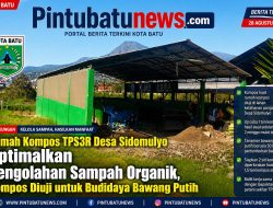 Rumah Kompos TPS3R Desa Sidomulyo Optimalkan Pengolahan Sampah Organik, Kompos Diuji untuk Budidaya Bawang Putih