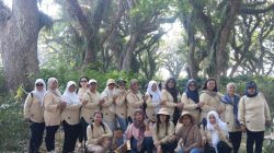 De Djawatan Banyuwangi: Ketika Hutan Trembesi Ratusan Tahun Menjadi Magnet Wisata