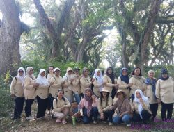 De Djawatan Banyuwangi: Ketika Hutan Trembesi Ratusan Tahun Menjadi Magnet Wisata