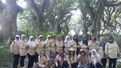 De Djawatan Banyuwangi: Ketika Hutan Trembesi Ratusan Tahun Menjadi Magnet Wisata