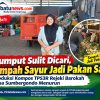 Rumput Sulit Dicari, Sampah Sayur Jadi Pakan Sapi! Produksi Kompos TPS3R Rejeki Barokah Desa Sumbergondo Menurun