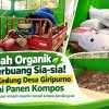 Sampah Organik Tak Terbuang Sia-sia! TPS3R Kedung Desa Giripurno Mulai Panen Kompos